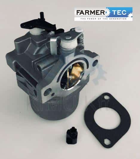 Karburátor Briggs&Stratton 495706, 498027, 498231, 499161, 799728 Farmertec